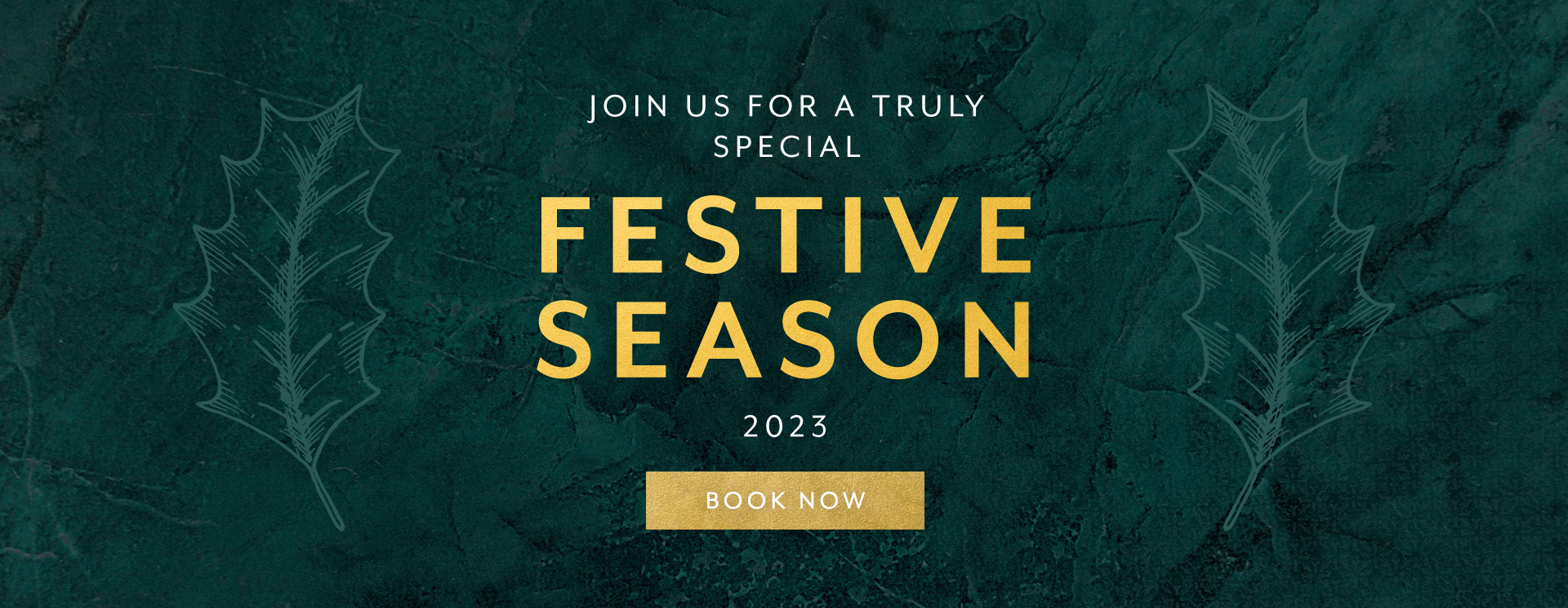 Christmas 2023 at Harpenden